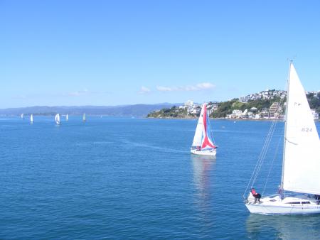 le port de Wellington